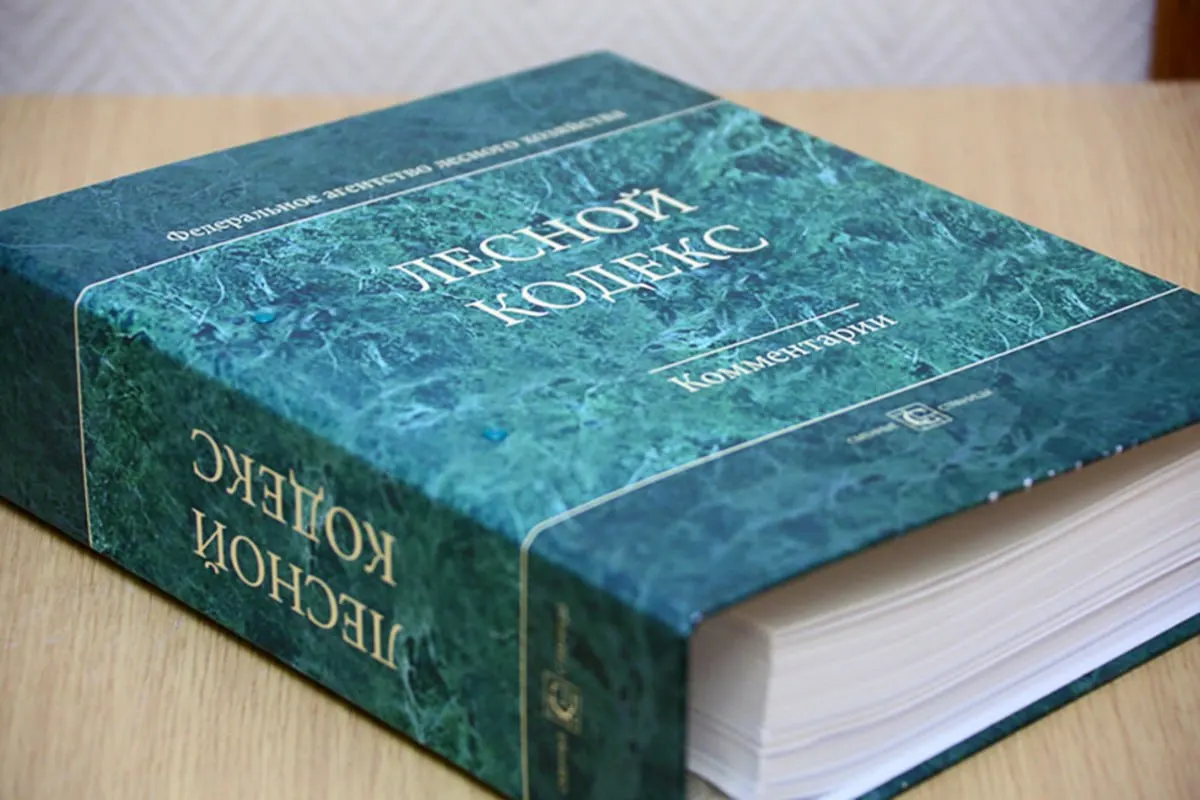 С 2006 года в Лесной кодекс РФ внесено множество поправок — эксперт по лесному хозяйству считает, что вместо постоянных правок требуется новый, компактный и понятный документ.