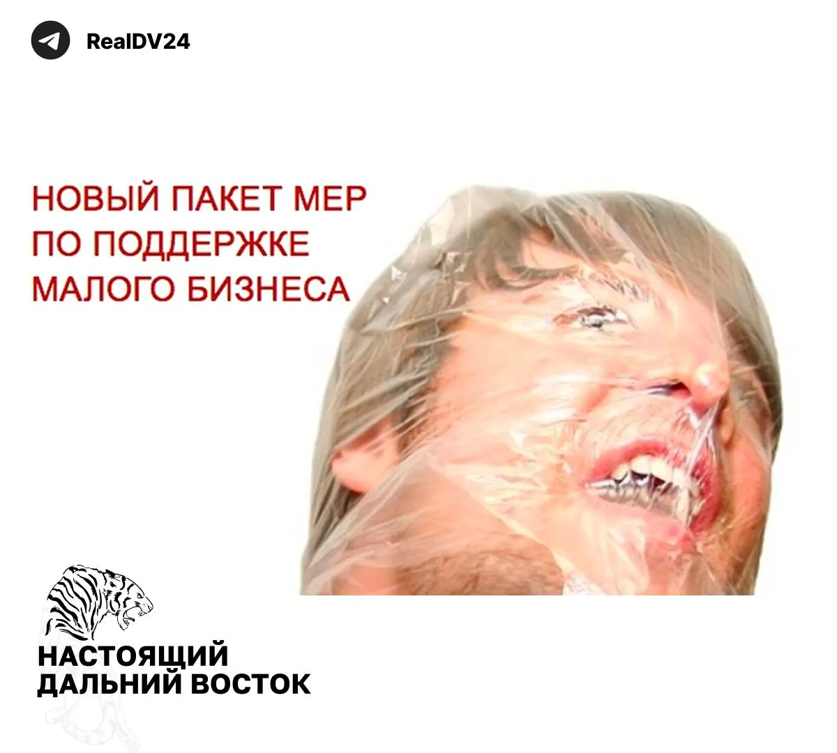 Федеральная налоговая служба направила регионам рекомендации по увеличению налоговых поступлений: предложены меры по налогообложению недвижимости, росту транспортного и земельного налогов, пересмотру льгот и усилению контроля.