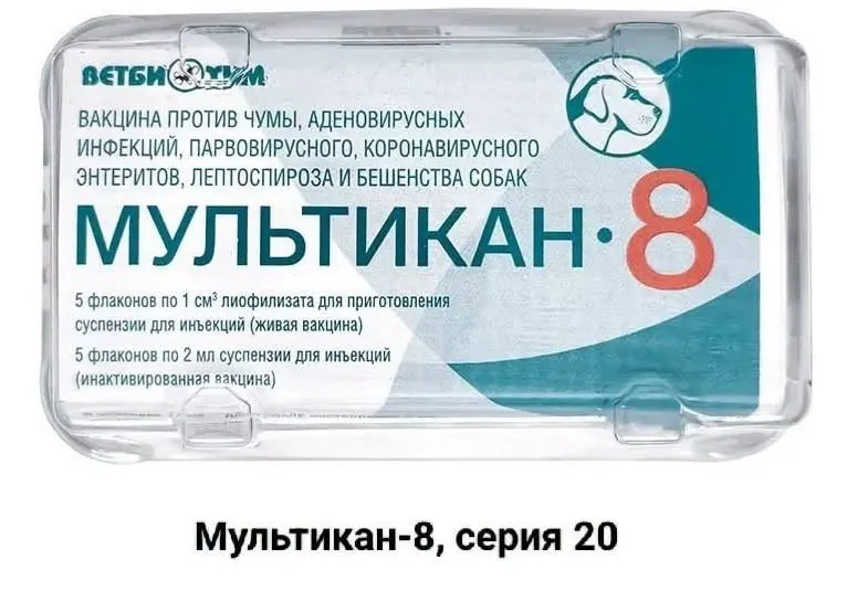 Владельцы собак, погибших после прививки вакциной «Мультикан-8», призывают общественность и органы расследовать случившееся, поскольку случаи зафиксированы в нескольких регионах по всей России.