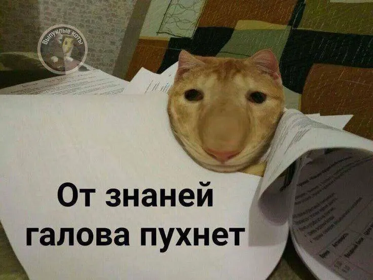 Министр спорта Михаил Дегтярев сообщил, что в этом году испытание по управлению небольшим дроном планируют ввести в тестовом режиме, а с следующего года по нему можно будет получить значок ГТО, дающий до 10 баллов к итоговым экзаменам.