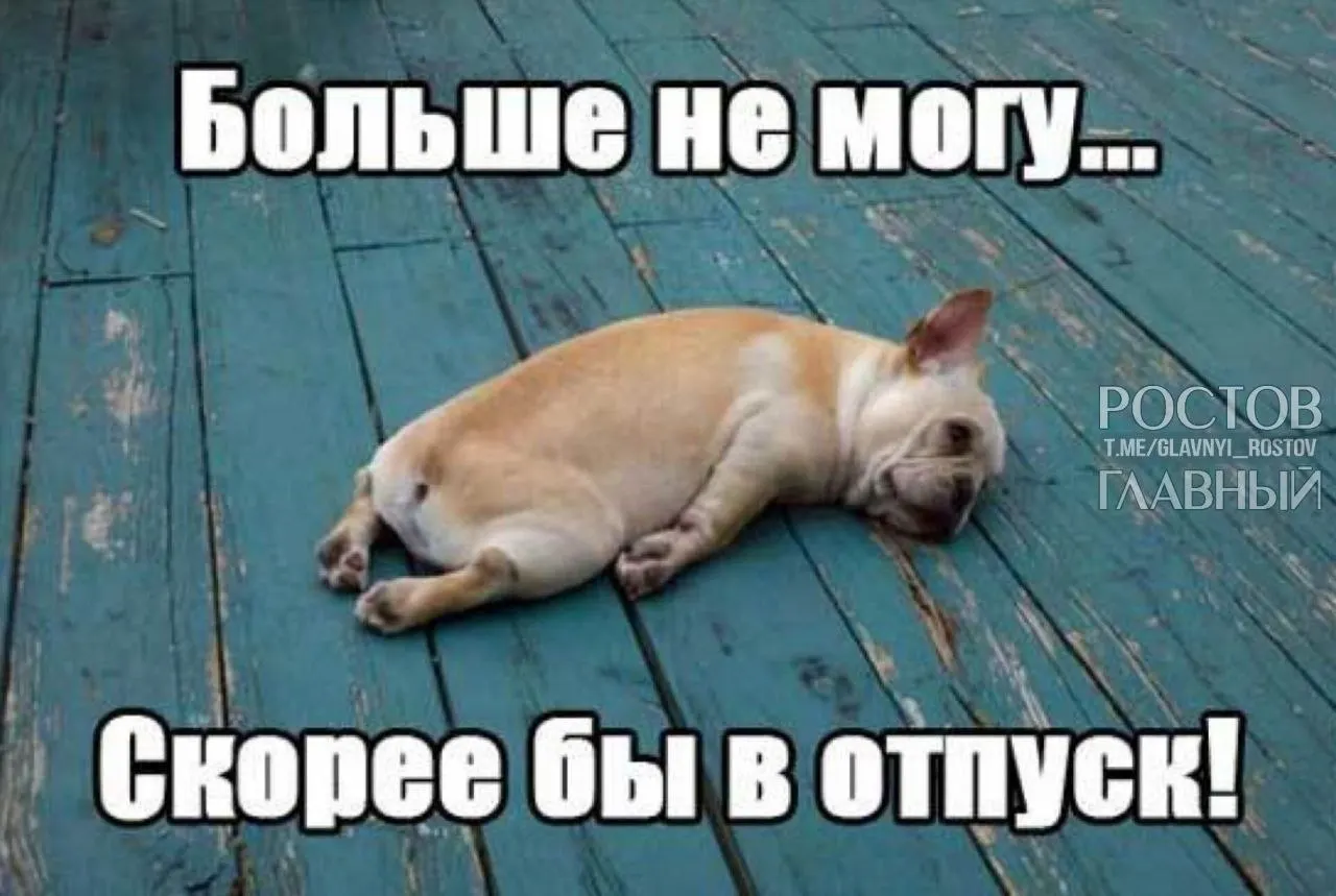 Депутаты Госдумы предлагают поднять минимальную продолжительность отпуска с 28 до 35 дней — чтобы компенсировать входящие в отпуск выходные и снизить риск профессионального выгорания.