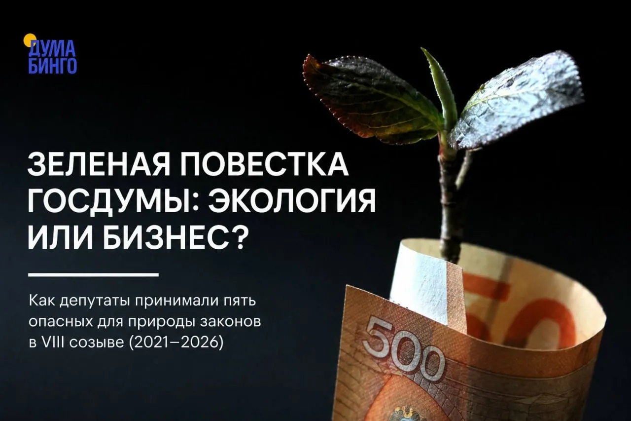 Обзор наиболее резонансных законодательных инициатив, которые за последние годы изменили экологическое регулирование, — от ограничения общественной экспертизы до ослабления режима охраны заповедников и правил охоты.