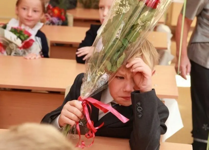 Заместитель министра просвещения заявил, что 11-летняя система оптимальна; ни сокращать, ни увеличивать срок сейчас не планируют, а все стандарты будут вводить с учётом 11 классов.