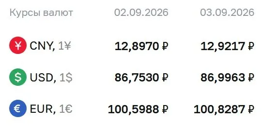 Доллар близко к отметке 87 ₽, евро — около 101 ₽. Банком России опубликованы курсы на четверг, 3 сентября.