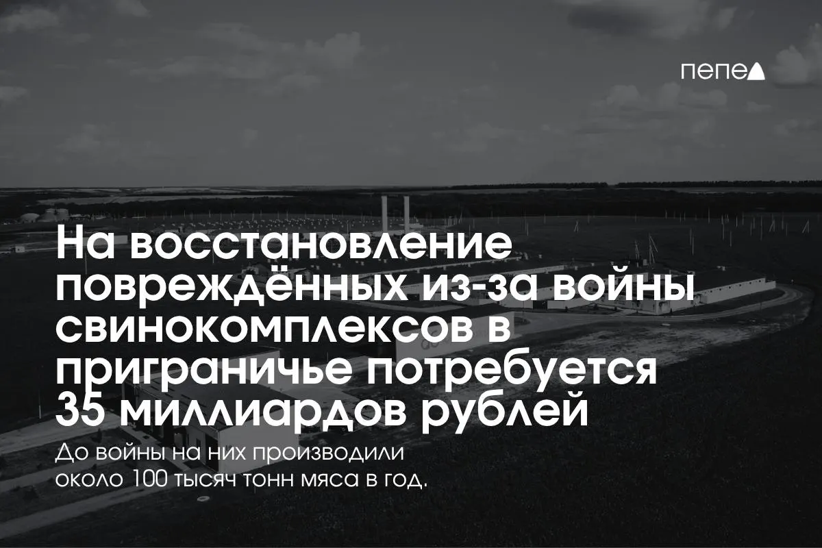 Расходы на безопасность, защиту и возобновление свиноводческих предприятий в Белгородской, Курской и Брянской областях оцениваются в 35 млрд рублей.